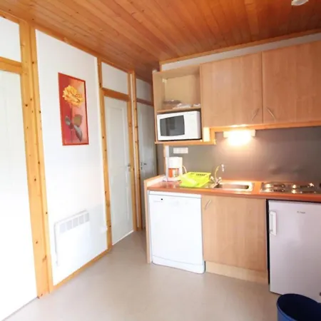 Chalet Au Coeur Des Volcans D'auvergne, 4 Pers., Terrasse, Tv, Proximite Et Activites Outdoor - Fr-1-742-465 *